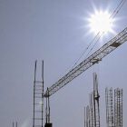 Grue. La photo libre