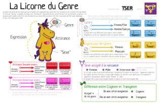éducation sexualité licorne du genre