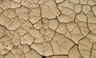 Lire la suite à propos de l’article Le genre s’impose dans le débat sur les changements climatiques