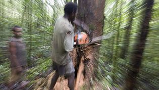 Lire la suite à propos de l’article « Au Bénin, la déforestation dégrade les conditions de vie des populations »