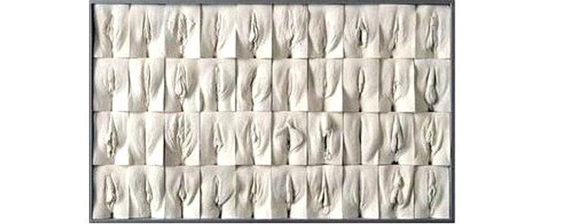 You are currently viewing «  The great wall of vagina » : 400 vulves pour une exposition artistique. 