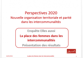 Lire la suite à propos de l’article La parité dans les intercommunalités : des progrès inégalement partagés, un avenir incertain.