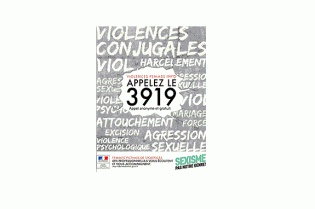 Lire la suite à propos de l’article Cinquième plan de mobilisation et de lutte contre toutes les violences faites aux femmes