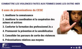 Lire la suite à propos de l’article Avis du CESE : combattre les violences faites aux femmes dans les Outre-mer