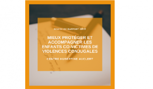 Lire la suite à propos de l’article L’enfer des enfants co-victimes de violences conjugales