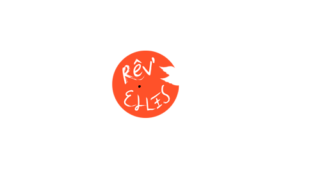 Lire la suite à propos de l’article Rêv’Elles : une étincelle, des potentiels