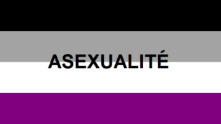 Lire la suite à propos de l’article L’asexualité: une identité sexuelle en quête de reconnaissance