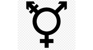 Lire la suite à propos de l’article Cour de Cassation: un pas en avant pour les personnes Trans !