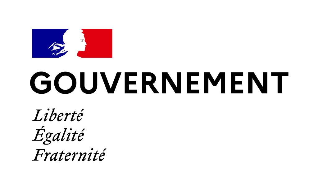 You are currently viewing Le Gouvernement pleinement mobilisé contre les violences conjugales et intrafamiliales