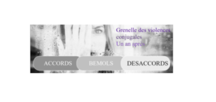 Lire la suite à propos de l’article Grenelle des violences conjugales, un an après, un bilan contrasté : des avancées et des décisions contre-productives