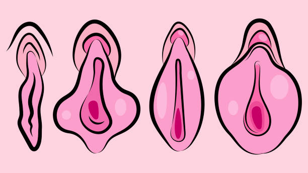 You are currently viewing L’hymen, un mythe patriarcal