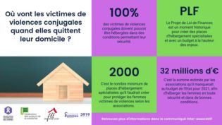 Lire la suite à propos de l’article Projet de loi de finances : une opportunité historique de garantir l’accès à un hébergement de qualité pour les femmes victimes de violences !