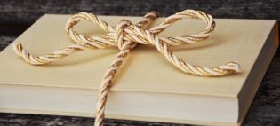 Lire la suite à propos de l’article Des livres à mettre sous le sapin de Noël