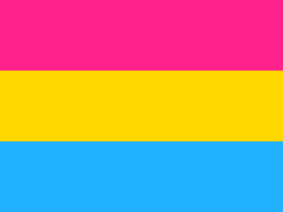 Lire la suite à propos de l’article La pansexualité : une sexualité oubliée !