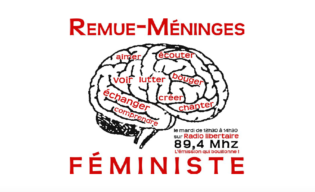 Lire la suite à propos de l’article Remue-Méninges Féministe : Archives Lesbiennes