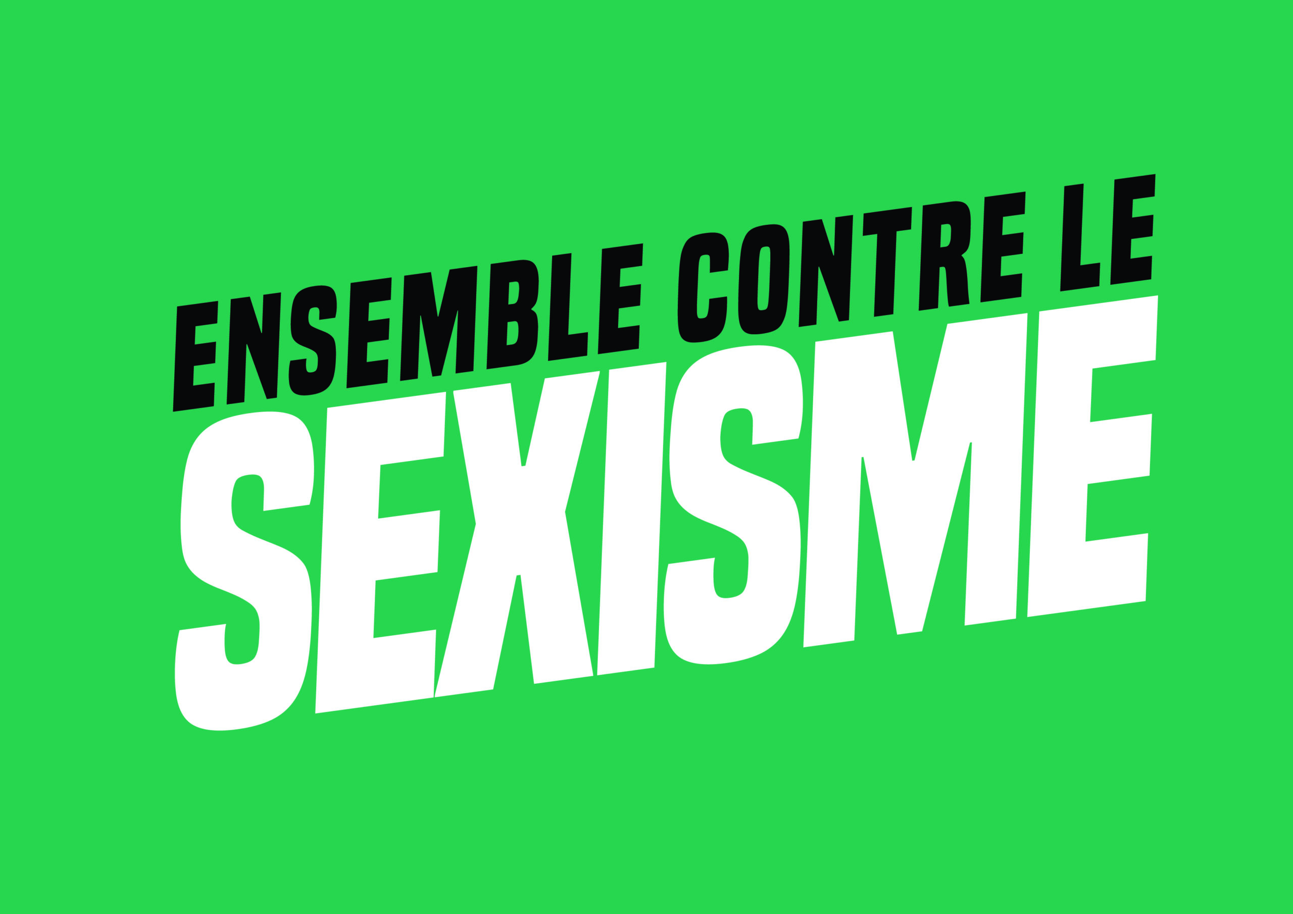 You are currently viewing Victoire pour le collectif Ensemble contre le Sexisme La journée du 25 janvier est déclarée « Journée nationale contre le sexisme »