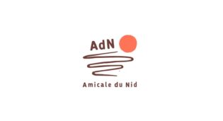 Lire la suite à propos de l’article Rapport FACT-S 2025 Se mobiliser contre la prostitution des mineur.e.s